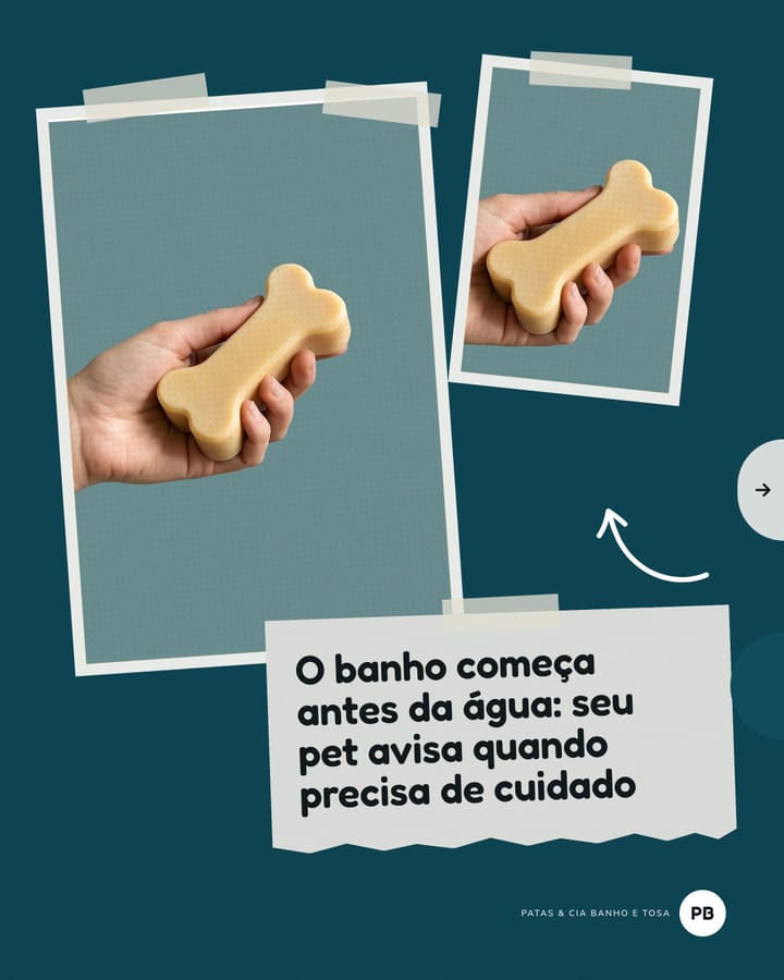Capa de carrossel azul-petróleo em colagem: duas fotos presas com fita de uma mão segurando um sabonete em forma de osso, e o título “O banho começa antes da água: seu pet avisa quando precisa de cuidado”.