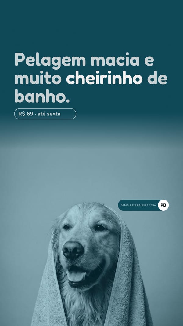 Story azul-petróleo com um golden retriever enrolado numa toalha, o título “Pelagem macia e muito cheirinho de banho.” e a oferta “R$ 69 · até sexta”.